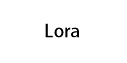 Lora预览